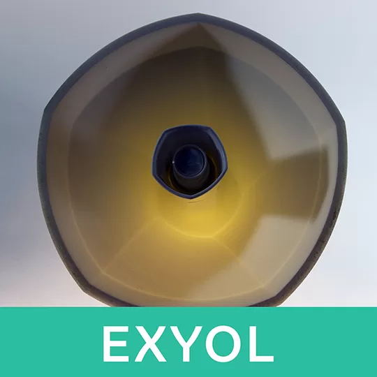 LAVYL